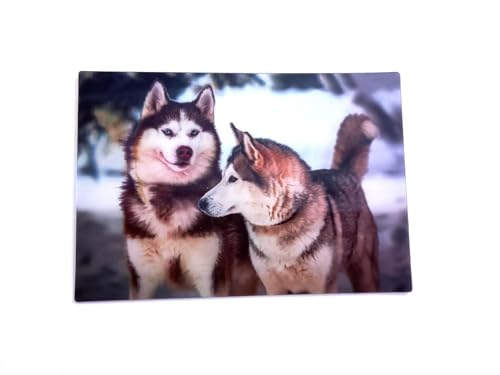 3 D Ansichtskarte Schlittenhunde, Postkarte Wackelkarte Hologrammkarte Tier Huskys von Unbekannt