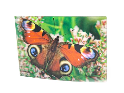 3 D Ansichtskarte Tagpfauenauge, Postkarte Wackelkarte Hologrammkarte Tier Schmetterling von Unbekannt