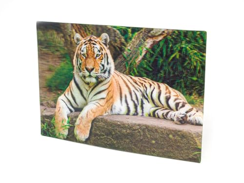 3 D Ansichtskarte Tiger, Postkarte Wackelkarte Hologrammkarte Tier Raubkatze von Unbekannt