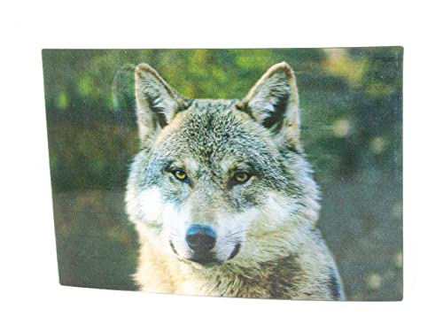 3 D Ansichtskarte Wolfskopf, Postkarte Wackelkarte Hologrammkarte Tier Wolf von Unbekannt