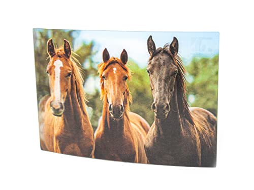 3 D Ansichtskarte braune Pferde, Postkarte Wackelkarte Hologrammkarte Tier Pferd von Unbekannt