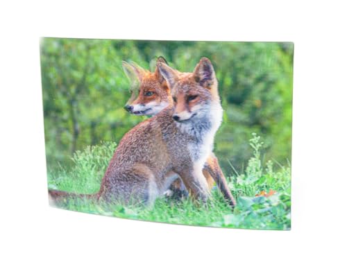 Unbekannt 3 D Ansichtskarte Füchse, Postkarte Wackelkarte Hologrammkarte Tier Fuchs von Unbekannt