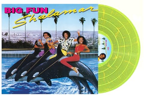 Big Fun (Yellow With Blue Swirl Vinyl 160g) [Vinyl LP] von Unidisc Music Inc.