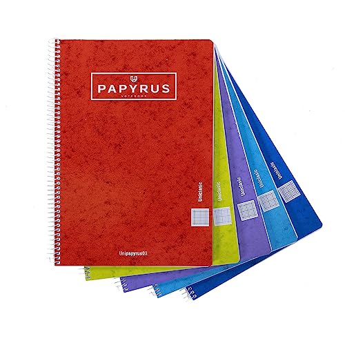 Unipapel 98441094 Papyrus 03-UniCLASI, Folio-Format, Papier 90 g, 80 Blatt, zufällige Farbauswahl, Deckel von Unipapel