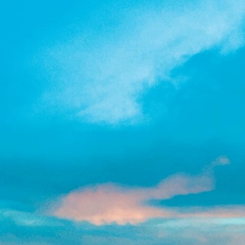 It’s The End Of The World But It’s A Beautiful Day (Orange Vinyl mit alternativem Cover) von Universal/Music/DVD (Universal)