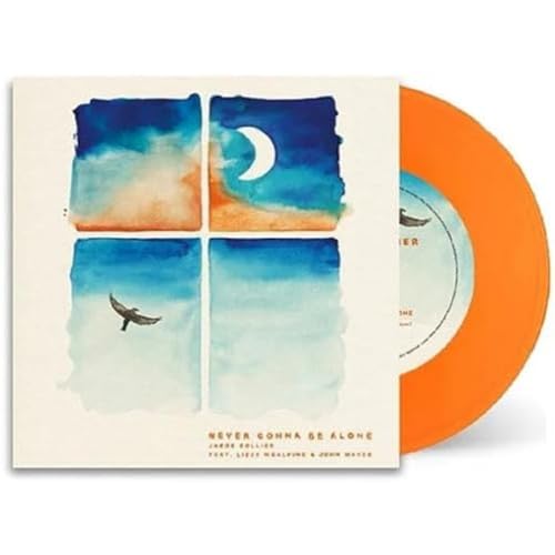 Never Gonna Be Alone [Vinyl LP] von Universal Import