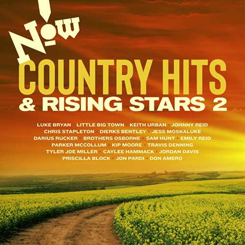 Now Country: Hits & Rising / Various von Universal Import