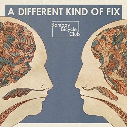 A Different Kind of Fix [Vinyl LP] von Universal Music Operations