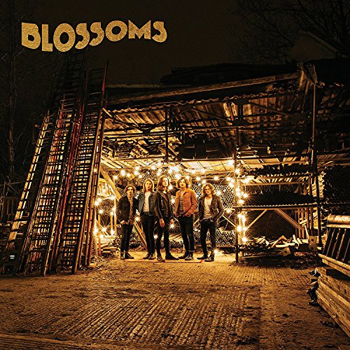 Blossoms (Vinyl) [Vinyl LP] von Universal Music Operations