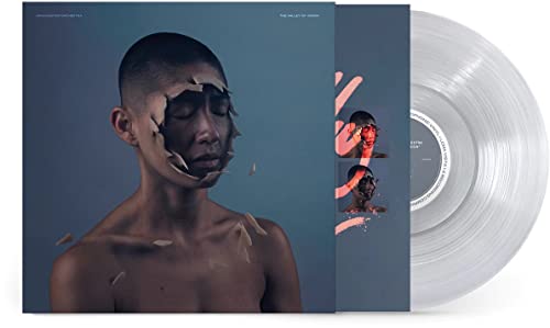 The Valley of Vision (Transparent Vinyl) [Vinyl LP] von Universal Uk