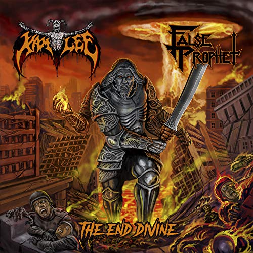 The End Divine [Vinyl LP] von NAPALM RECORDS