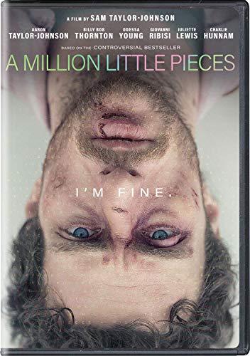 A Million Little Pieces - DVD von Universal Pictures Home Entertainment