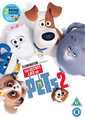 The Secret Life of Pets 2 [DVD] [2019] von Universal Pictures