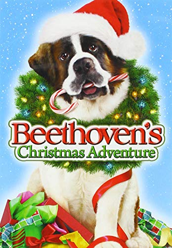 Beethoven's Christmas Adventure / (Ws Dub Sub Ac3) [DVD] [Region 1] [NTSC] [US Import] von Universal Studios