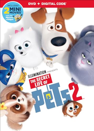 Dvd - Secret Life Of Pets 2 [Edizione: Stati Uniti] (1 DVD) von Universal Studios