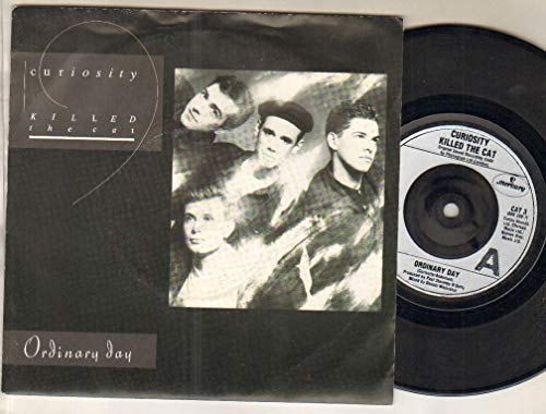 Ordinary Day 7 Inch (7" Vinyl 45) UK Mercury 1987 von Unknown
