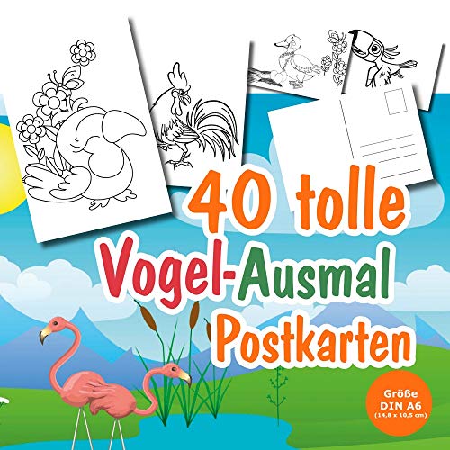 40 DIY Postkarten zum Ausmalen mit Vogel-Motiven, für Kinder ab 3 Jahren. 40 Motive mit dem tollen Vogel-Getier wie z.B. Flamingo, Ente, Hahn und mehr von Unser-Festtag