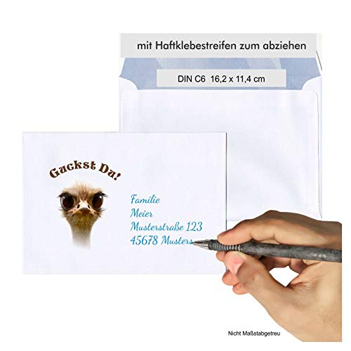 Briefumschlag lustiger Strauß C6 - selbstklebend, passend zu unseren Einladungskarten für Geburtstag oder Klassentreffen (100 Umschläge) von Unser-Festtag