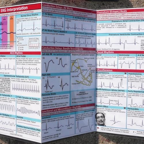 EKG-Taschenkarte – EKG-Taschenhandbuch, Doppelseitig Dreifach Gefaltete Referenzkarten Zur EKG-Rhythmusanalyse, Praktische Anleitung Zur EKG-Interpretation, 11,81 X 5,91 Zoll EKG-Taschenkarte – EKG-Taschenhandbuch, Doppelseitig Dreifach Gefaltete Referenzkarten Zur EKG-Rhythmusanalyse, Praktische Anleitung Zur EKG-Interpretation, 11,81 X 5,91 Zoll von Uoqpty