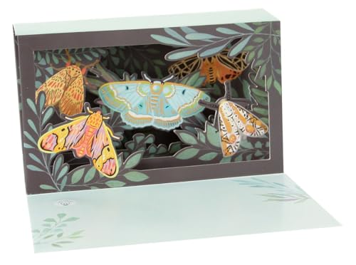 Licht Box Pop Up Neuheit 4D Karte Geburtstag Grußkarte Schmetterling 13x16cm von Up With Paper
