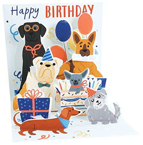 Pop Up 3D Karte mit LICHT Geburtstag Grußkarte Hunde 13x13cm von Up With Paper
