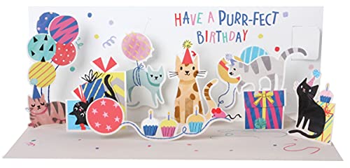 Pop Up 3D Panorama Karte Geburtstag Grußkarte Katzen Party 10x23cm von Up With Paper