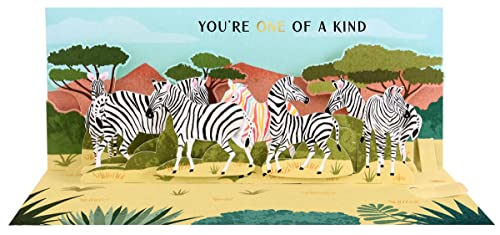 Pop Up 3D Panorama Karte Geburtstag Grußkarte Zebras 10x23cm von Up With Paper