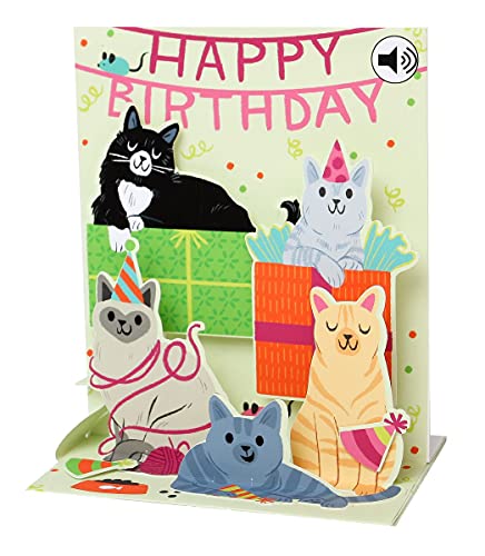 SOUND Pop Up 3D Karte Geburtstag Musik Haustier Familie 18x13cm von Up With Paper