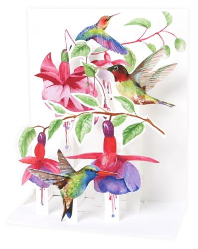 SOUND Pop Up 3D Karte Kinder Geburtstag Musik Kolibri Vogel 18x13cm von Up With Paper