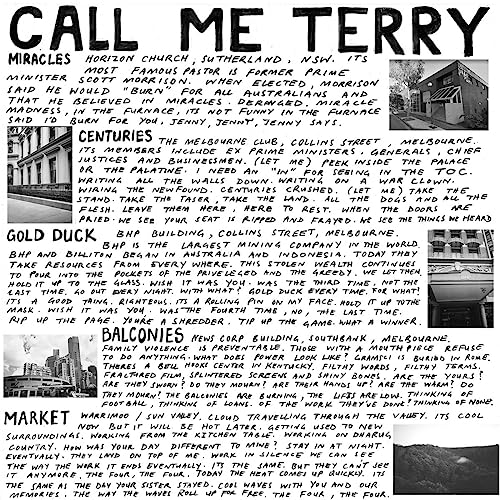 Call Me Terry [Vinyl LP] von Upset the Rhythm / Cargo