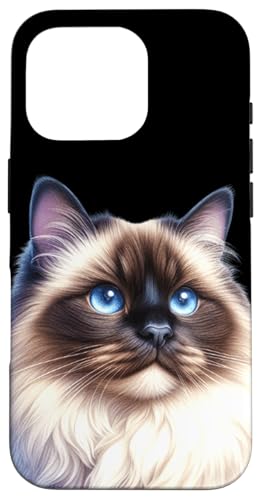 Ragdoll Himalaya-Katzenporträt Hülle für iPhone 16 Pro Ragdoll Himalaya-Katzenporträt Hülle für iPhone 16 Pro von Urban Empyre