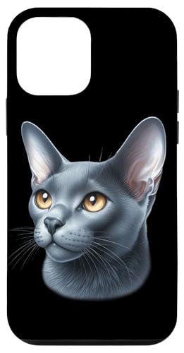 Russische blaue Katze Portrait Hülle für iPhone 12 mini Russische blaue Katze Portrait Hülle für iPhone 12 mini von Urban Empyre