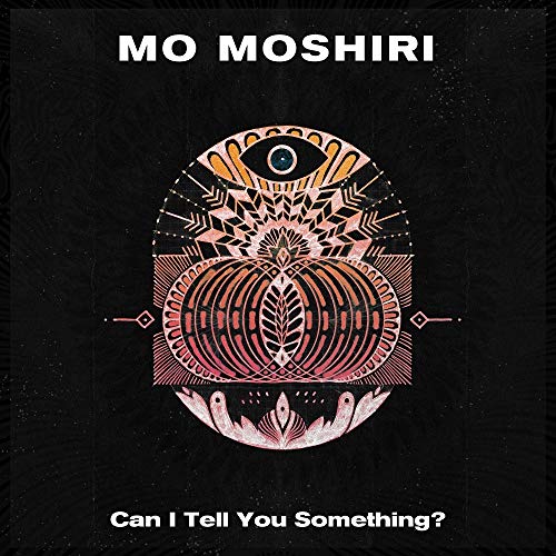 Can I Tell You Something? [Vinyl LP] von Urbnet