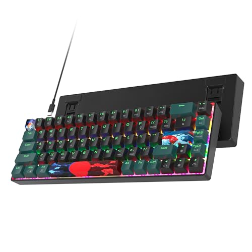 Ussixchare 60 Prozent Gaming-Tastatur, 68 Tasten, mechanische Tastatur, Regenbogen-Hintergrundbeleuchtung, kompakte kabelgebundene Tastatur mit rotem Schalter für Windows Mac PS4/5 Xbox (68 grün) von Ussixchare