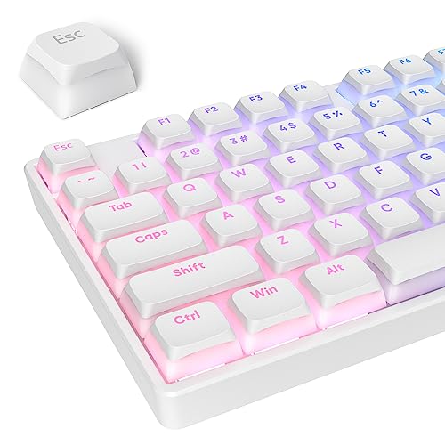 Ussixchare PBT Pudding Tastenkappen Set 117 Tasten, Double Shot Translucent XDA Profil für ISO & ANSI Layout 61/68/84/87/104 Tasten Mechanische Tastatur von Ussixchare