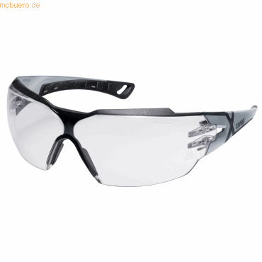 Uvex Schutzbrille pheos cx2 9198013 silber/schwarz von Uvex