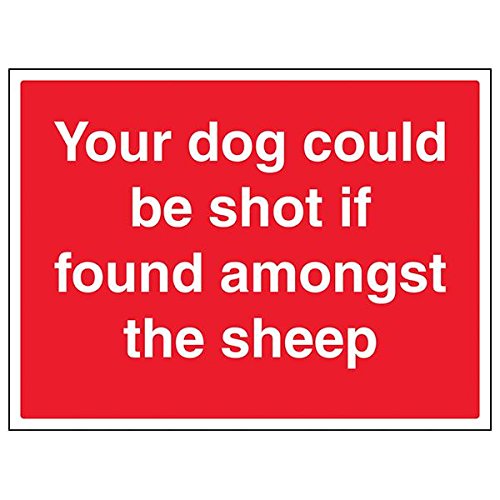 Schild mit Aufschrift "Dog could Be Shot If Found Amongst Sheep", 3 Stück, 400mm x 300mm, 3 von V Safety