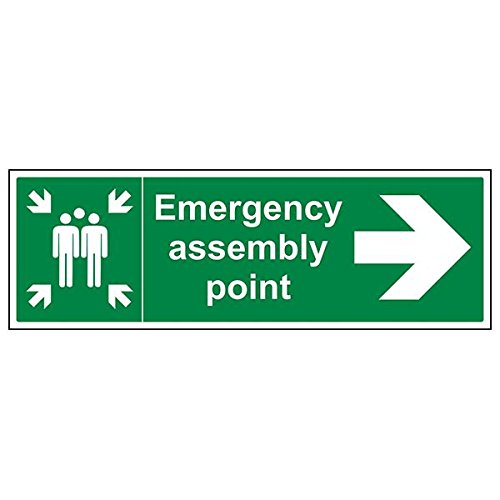 VSafety 17028BP-S Hinweisschild "Emergency Assembly Point Pfeil rechts", 600 mm x 200 mm, 3 Stück von V Safety