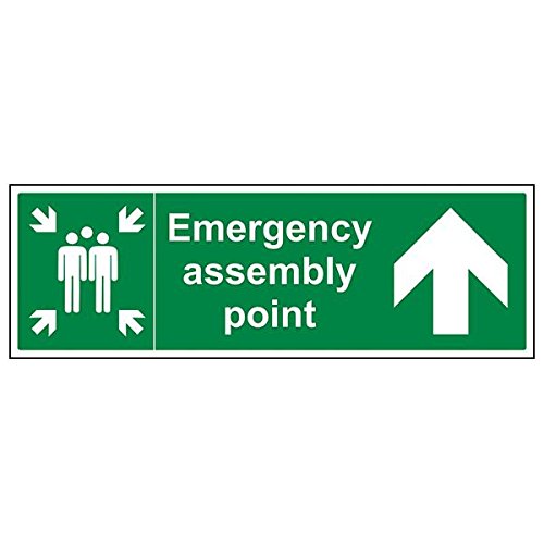 VSafety 17029BP-S'Emergency Assembly Point Pfeil nach oben, 600 mm x 200 mm (3 Stück) von V Safety