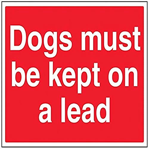 VSafety Schild "Dogs Must Be Kept On A Lead", Querformat, 400 x 300 mm, 1 mm Hartplastik von V Safety