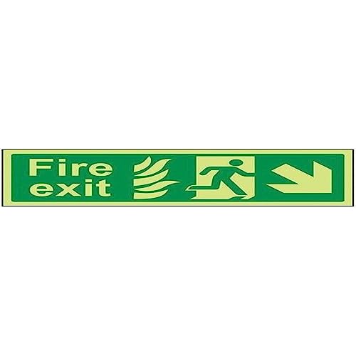 VSafety Schild mit Aufschrift "Fire Exit", leuchtet im Dunkeln, 600 mm x 200 mm, selbstklebendes Vinyl von V Safety