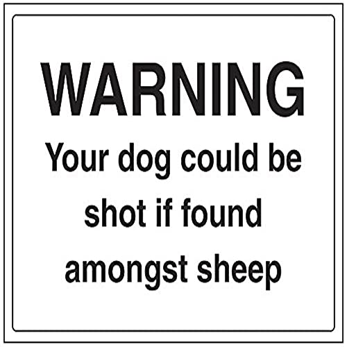 VSafety Warnschild "Warning Your Dog Could Be Shot If Found Amongst Sheep", Querformat, 400 x 300 mm, 1 mm Hartplastik von V Safety