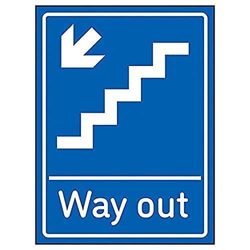 VSafety Way Out Pfeil Down Treppen links – 200 mm x 300 mm – Blau selbstklebendes Vinyl von V Safety