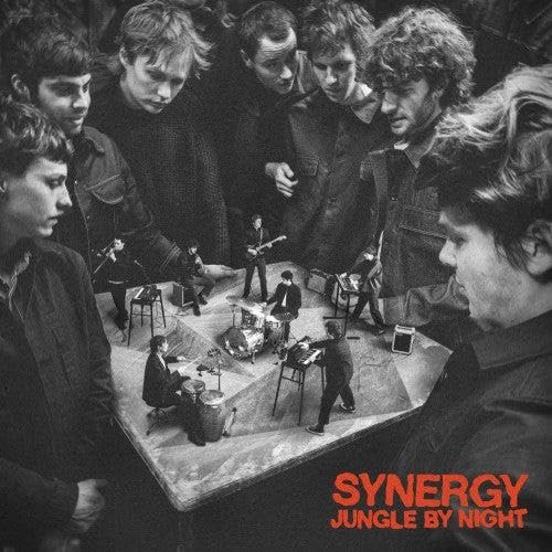 Synergy [Vinyl LP] von V2 (H'Art)