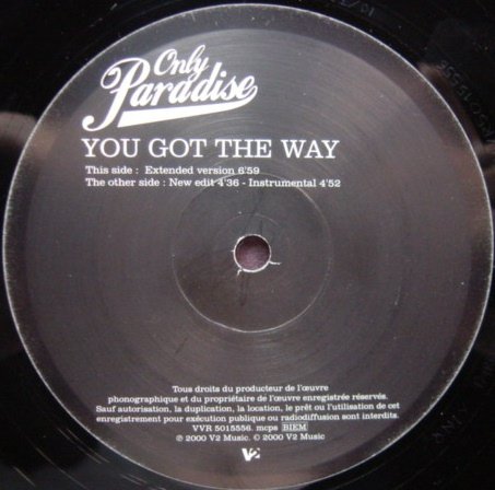 You Got the Way [Vinyl Single] von V2