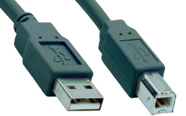 V7 USB 2.0 Kabel (Stecker-A auf Stecker-B, 5m) von V7