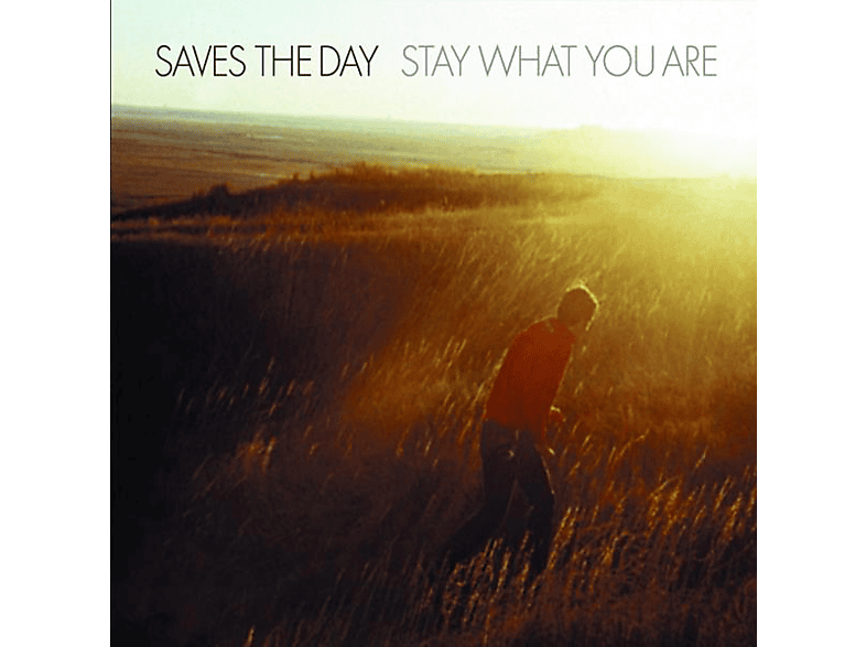 Saves The Day - Stay What You are (Splatter Vinyl) (EP (analog)) von VAGRANT RE
