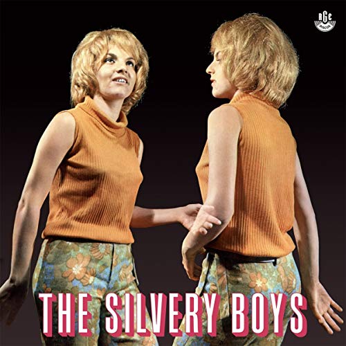 The Silvery Boys [Vinyl LP] von VAMPISOUL