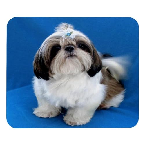 VAPOKF Gaming-Mauspad, Shih Tzu Welpe mit Hunde-Aufdruck, Mauspad für Schreibtisch, Heimbüro, rutschfeste Gummiunterseite, Tastatur-Pad, Laptop-Schreibtischunterlage VAPOKF Gaming-Mauspad, Shih Tzu Welpe mit Hunde-Aufdruck, Mauspad für Schreibtisch, Heimbüro, rutschfeste Gummiunterseite, Tastatur-Pad, Laptop-Schreibtischunterlage von VAPOKF