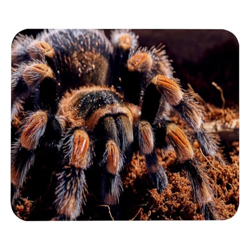 VAPOKF Gaming-Mauspad, mexikanisches rotes Knie, Vogelspinne, Spinnendruck, Mauspad für Schreibtisch, Heimbüro, rutschfeste Gummiunterseite, Tastatur-Pad, Laptop-Schreibtischunterlage VAPOKF Gaming-Mauspad, mexikanisches rotes Knie, Vogelspinne, Spinnendruck, Mauspad für Schreibtisch, Heimbüro, rutschfeste Gummiunterseite, Tastatur-Pad, Laptop-Schreibtischunterlage von VAPOKF